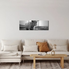 Kép - Skót tehén, fekete-fehér (órával) (90x30 cm)