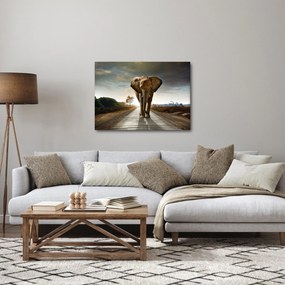 Elefánt képe (70x50 cm)