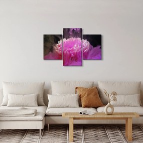 Rózsaszín virág képe a füstben (90x60 cm)