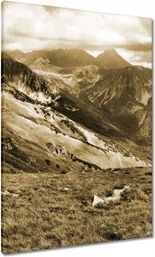 Vászonkép 70x100 Tátra Lengyel hegyek Kilátás