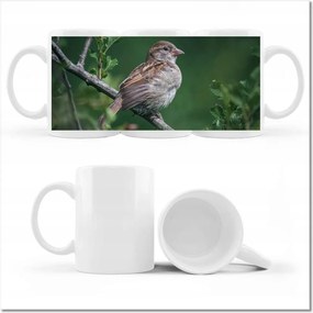 Nyomott mintás bögre A hétköznapi is lehet szép