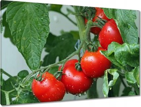 Festmények 120x80 Konyhai képek Forradalmak