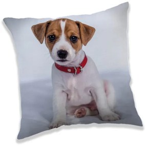Kutyás Jack Russell párna, díszpárna 40x40 cm