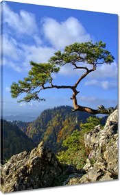 Vászonkép 50x70 Tájképek Kilátások Tájképek