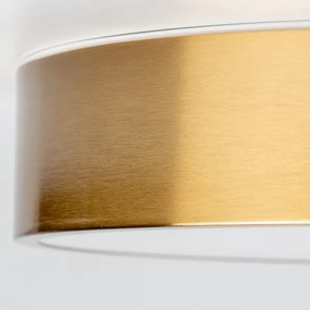 Brilagi - LED fürdőszobai mennyezeti lámpatest POOL LED/24W/230V átm. 30 cm IP54 bronz