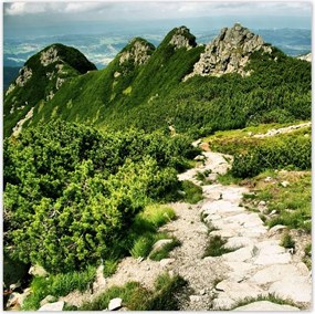 Poszterek 30x30 Tátra Lengyel hegyek Kilátás