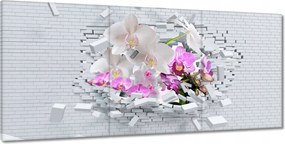 Festmények 210x100 Orchidea a falban