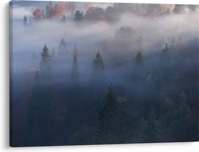 Kép - erdő a ködben, Carpathians, Ukraina (70x50 cm)