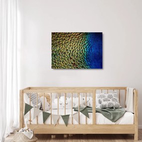 Üveg kép - Pávatollak (70x50 cm)