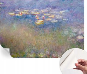 Öntapadós fotótapéta Nappaliba és Hálószobába Vízi liliomok 152x104 cm