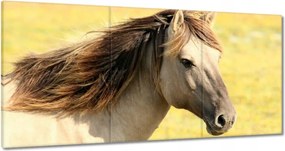 Vászonkép 120x60 Lófej