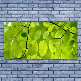 Vászonkép falra Elhagyja Plant 140x70 cm