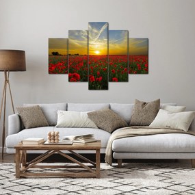 Egy kép a pipacs mezőről (150x105 cm)