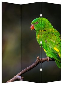 Papagáj egy ágon (126x170 cm)