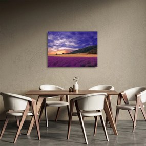 A levendula rét képe (üvegen) (70x50 cm)