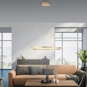 Leuchten Direkt 15394-60 - LED Dimmelhető csillár zsinóron RITUS LED/30W/230V