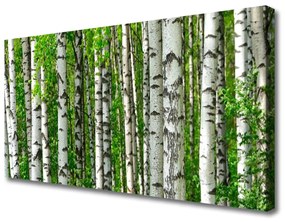 Vászonkép nyomtatás Nature Plant Erdei fák 100x50 cm