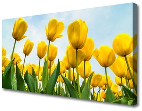 Vászonkép nyomtatás Tulipán virágok Plant 120x60 cm