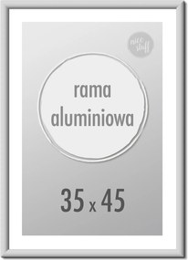 Képkeret 35x45 képkeret alumínium ezüst