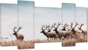 Vászonkép 120x65 Szarvascsorda Szarvak