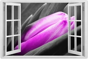 Poszter 60x40 Lila tulipán