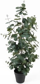 Művirág Cserépben Eukaliptusz Művirág Növény 78 cm