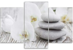 Gario Vászonkép Fehér orchidea és kövek - 3 részes Méret: 120 x 80 cm