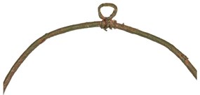 Koszorú Magnolia – Ixia