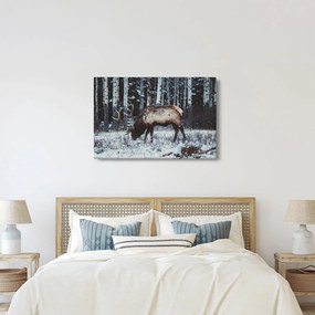 Kép - szarvas télen (90x60 cm)