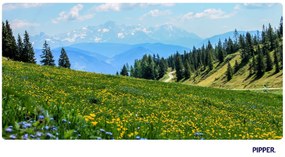 PIPPER. Öntapadós textiltapéta "Hegyi rét"