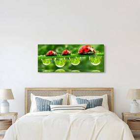 Kép - A hét nap napfénye (120x50 cm)