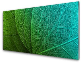 Üvegkép Abstract növényi levelek 100x50 cm