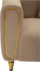 Szürkésbarna bársony fotel Alma – Mauro Ferretti