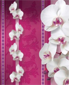Fotótapéta Orchideák fehér és rózsaszín elegancia a hálószobába 206x275 +ragasztó