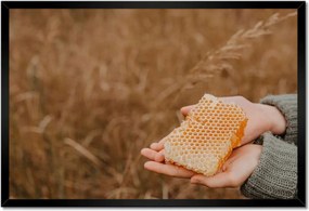 Poszter keretben 60x40 Méz Méhészet