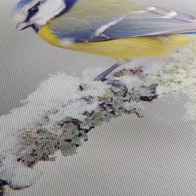 Kép - Cinege (120x50 cm)