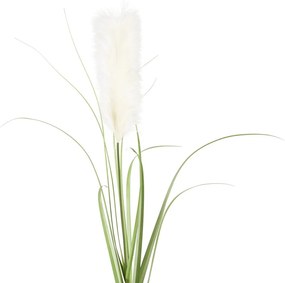 FLORISTA pampafű, krémszín 115 cm