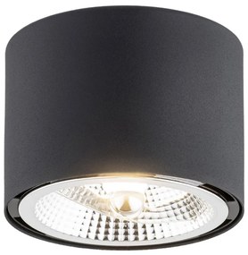 ARGON 4691-BZ CLEVELAND Hengeres Mennyezeti Lámpa Fekete GU10/AR111 IP20