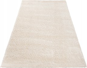 Shaggy Szőnyeg 80x150 Modern Puha Szőrös 03