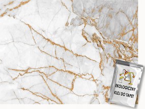 Fotótapéta Flizelina Márvány arany díszítéssel 100x75 ragasztó