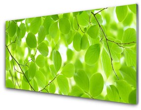 Üvegfotó levelek Természet 125x50 cm