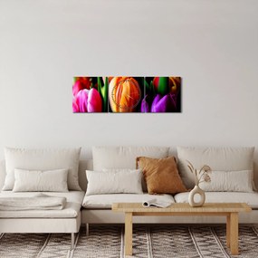 Tulipánok képe fekete alapon (órával) (90x30 cm)