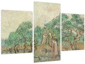 Kép - Vincent van Gogh, The Olive Orchard, reprodukciók (90x60 cm)