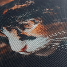 Kép - A macska látképe (120x50 cm)