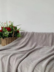 Mikroszálas pléd SOFT, világosszürke Méret: 160 x 200 cm