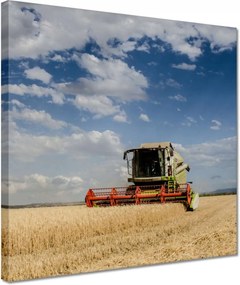 Vászonkép 30x30 Kombájn az aratás idején
