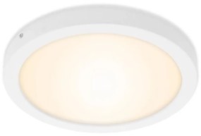 Briloner 7141-016 - LED Mennyezeti lámpa FIRE LED/21W/230V