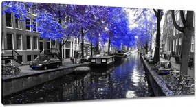 Festmények 115x55 Búzavirág Amszterdam