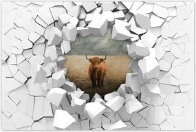 Poszterek 120x80 Skót tehén szarvasmarha