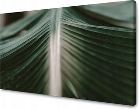 Vászonkép Természet Pálmalevél 100x60